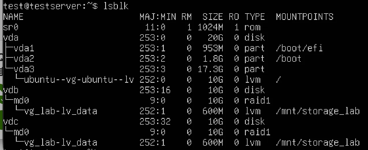 lsblkで対象のLVMを確認