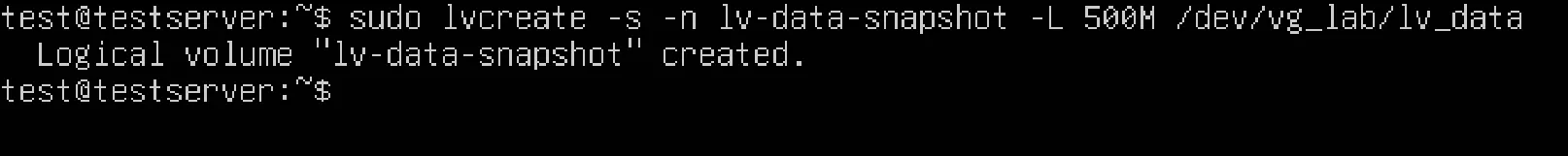 lvcreateでスナップショットを作成