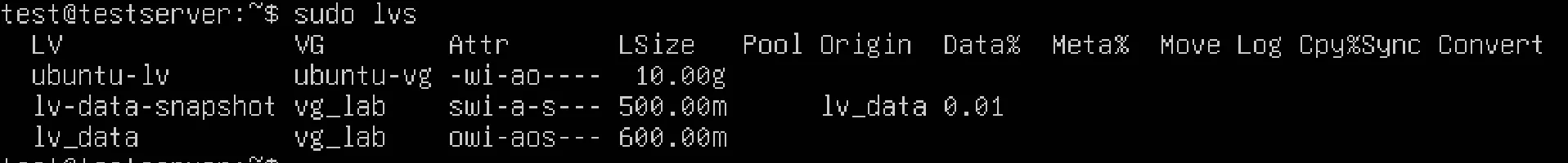 lvsでスナップショットの詳細を確認